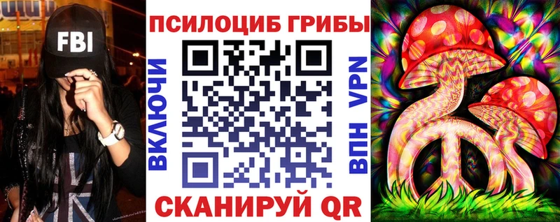 Купить где  Ковылкино  Галлюциногенные грибы Psilocybine cubensis 